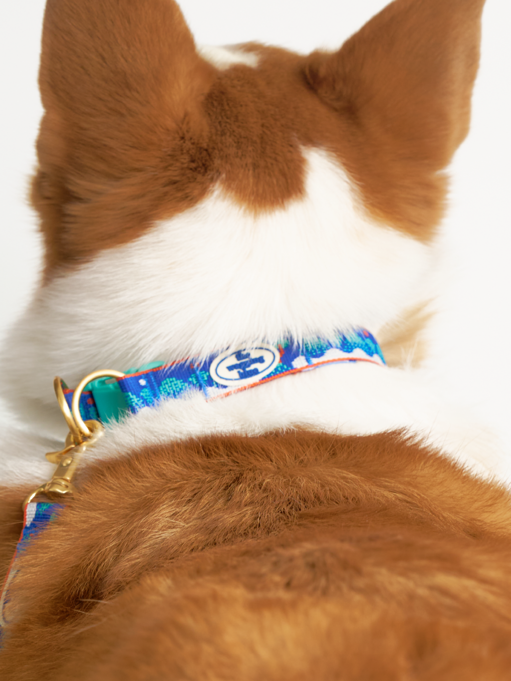 TWB｜Signature Collar｜經典項圈