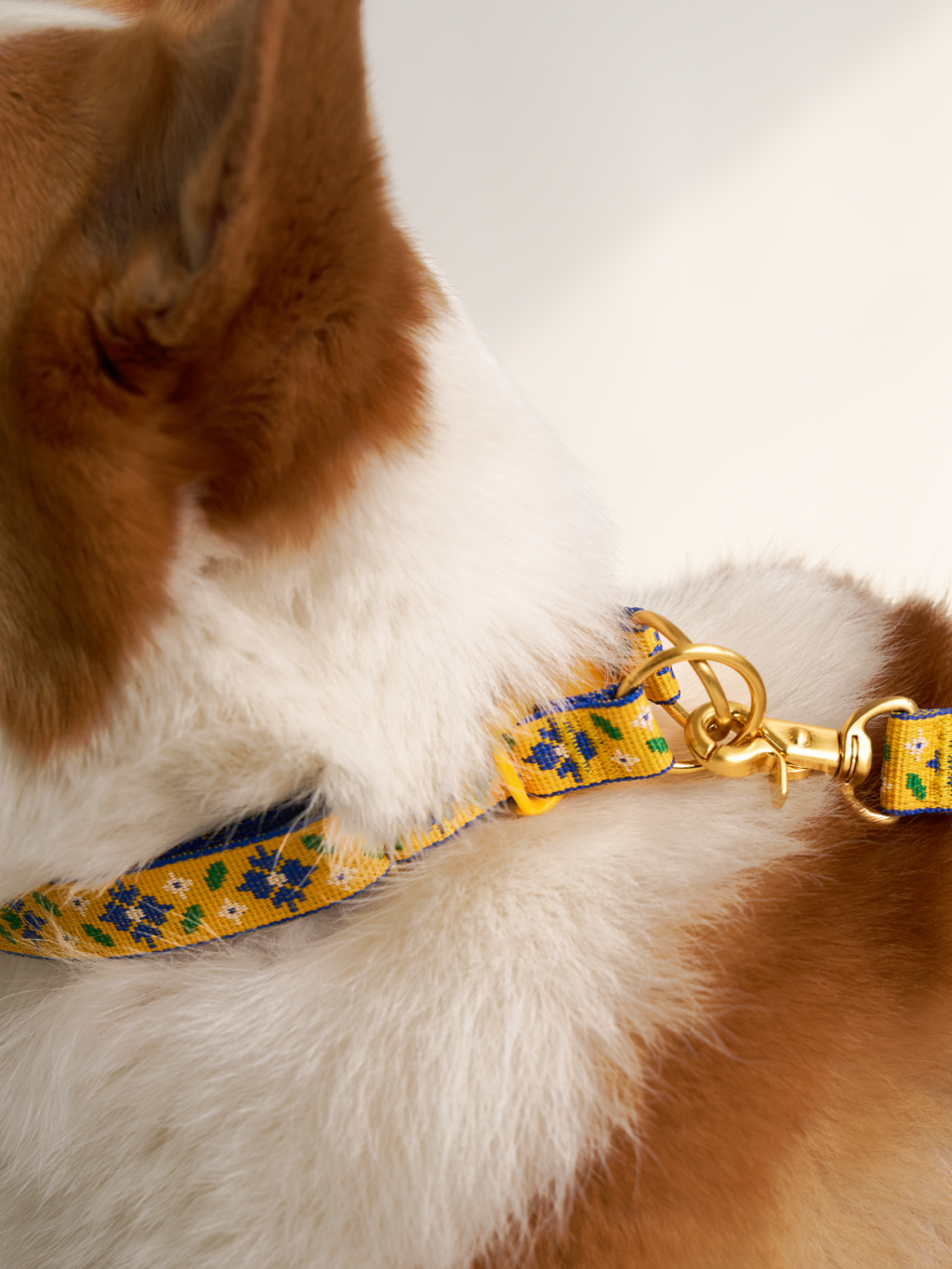 TWB｜Signature Collar｜經典項圈