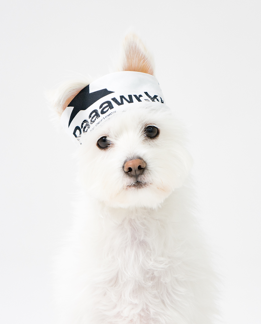 Paaawr｜夥伴領巾 Crew Bandana