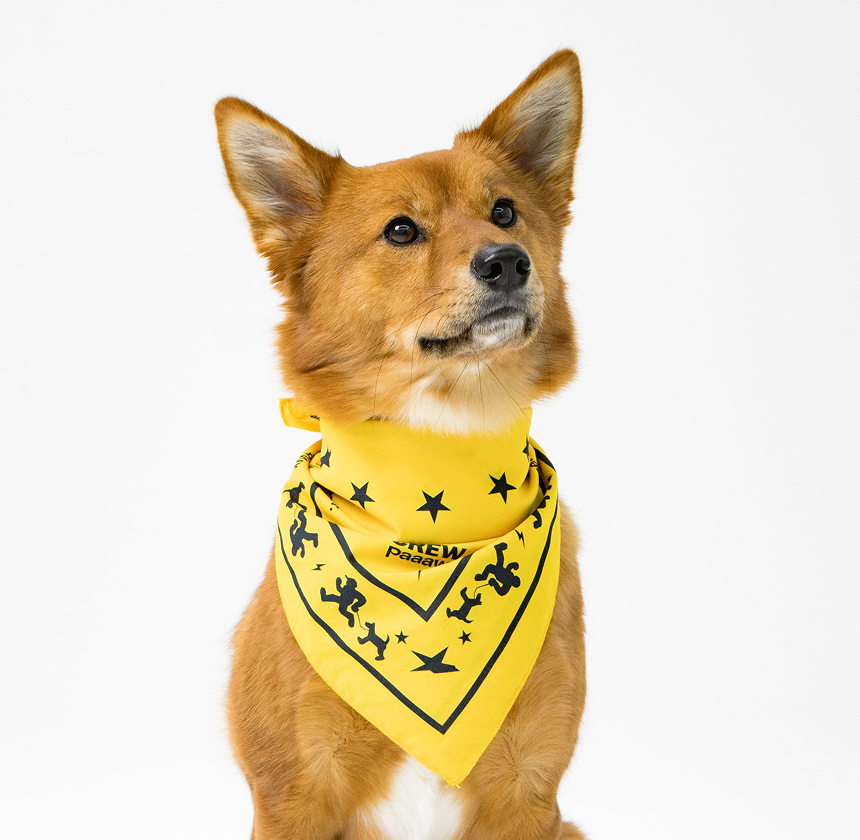 Paaawr｜夥伴領巾 Crew Bandana