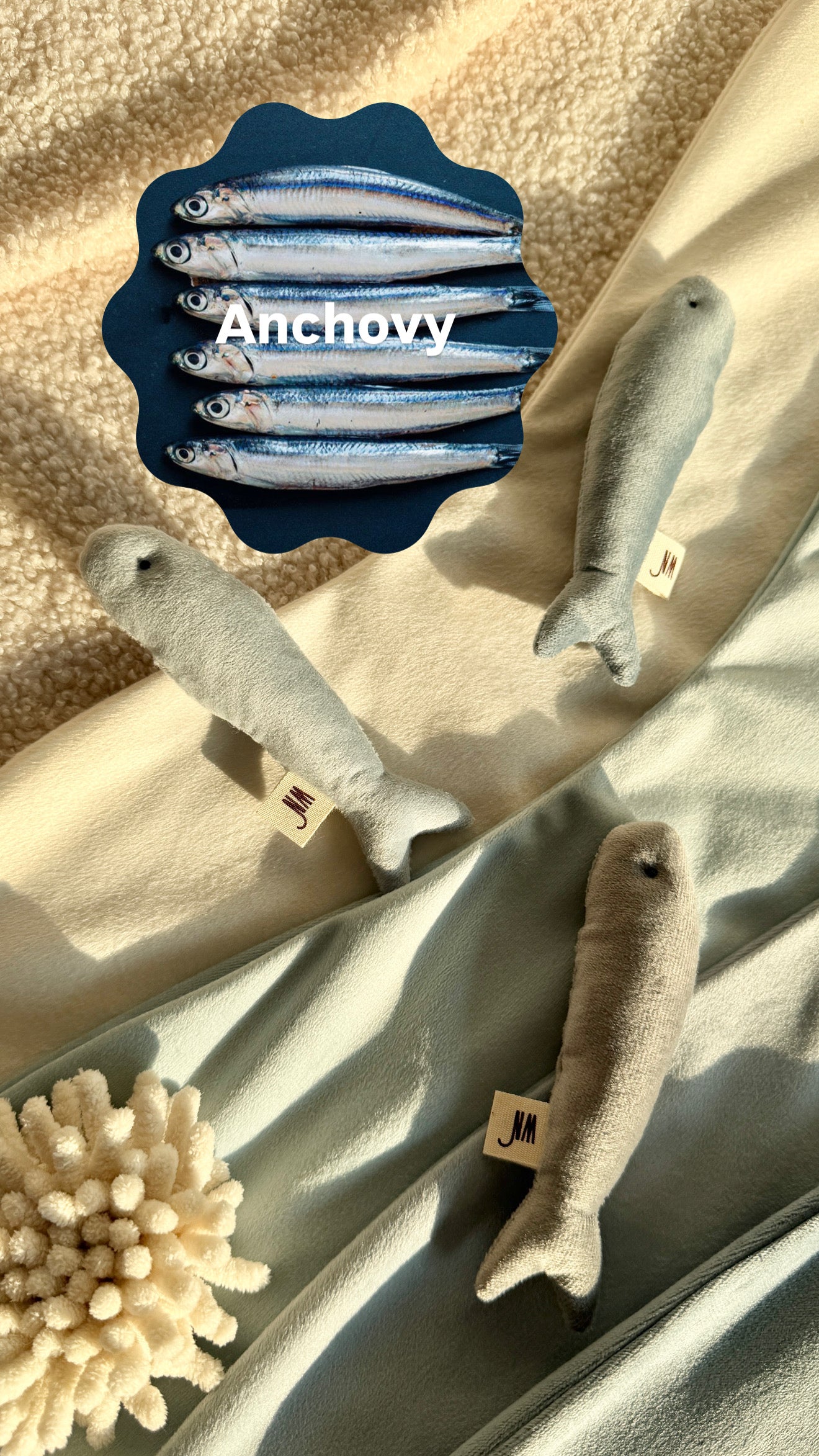 Wetnose｜海洋系列-小魚乾（3件組）anchovy 3 set