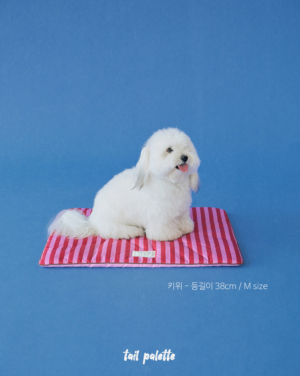 TP｜painting mat 5.0 (Stripe Pink/Pink)