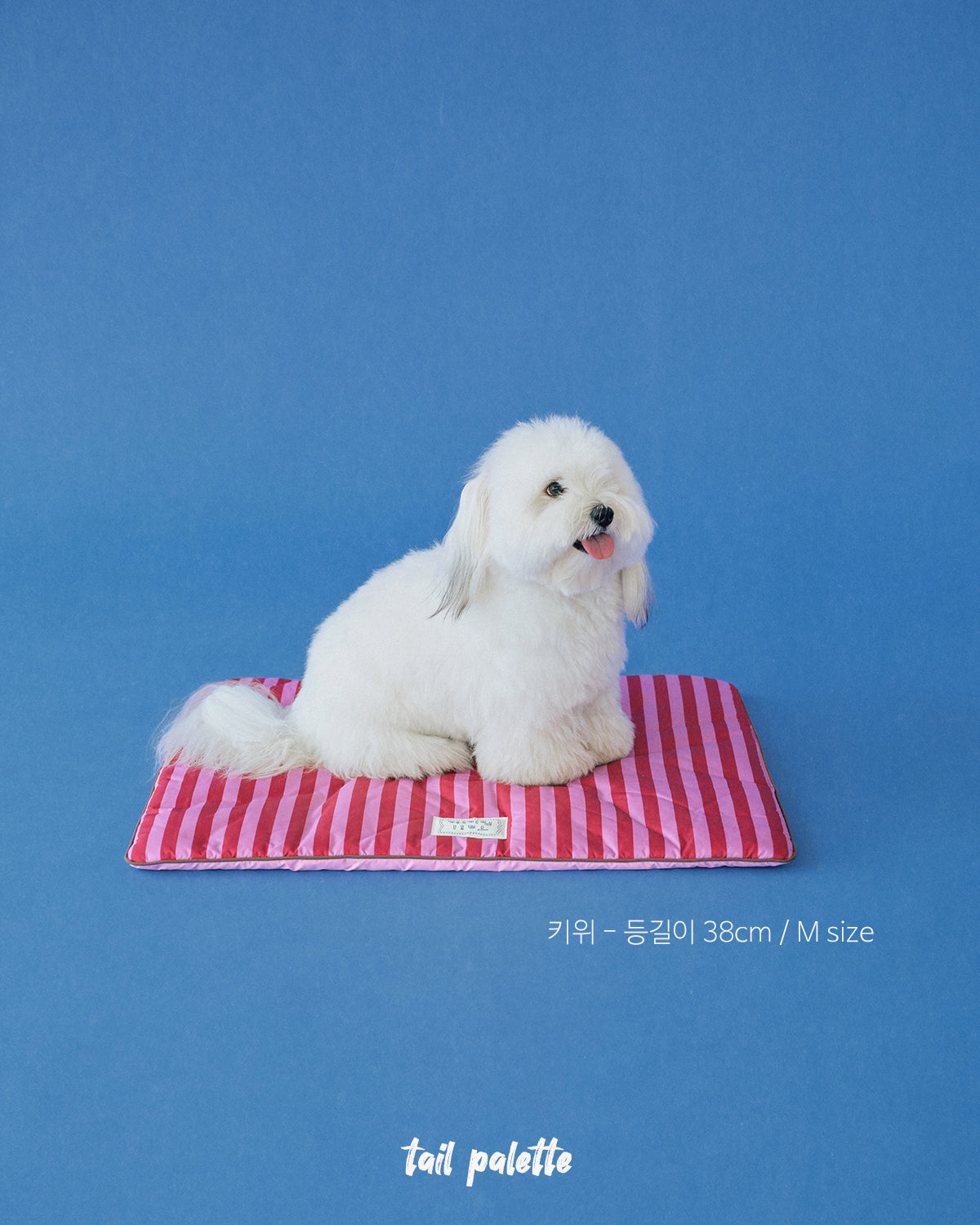 TP｜painting mat 5.0 (Stripe Pink/Pink)