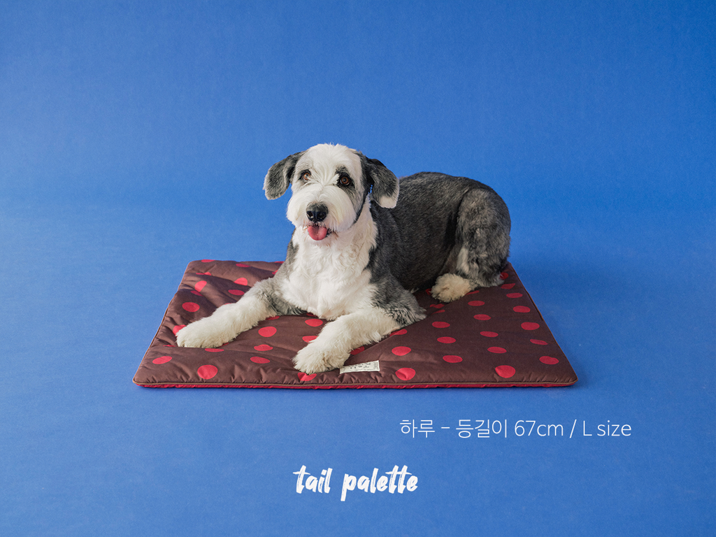 TP｜painting mat 5.0 (Dot Brown/Red)