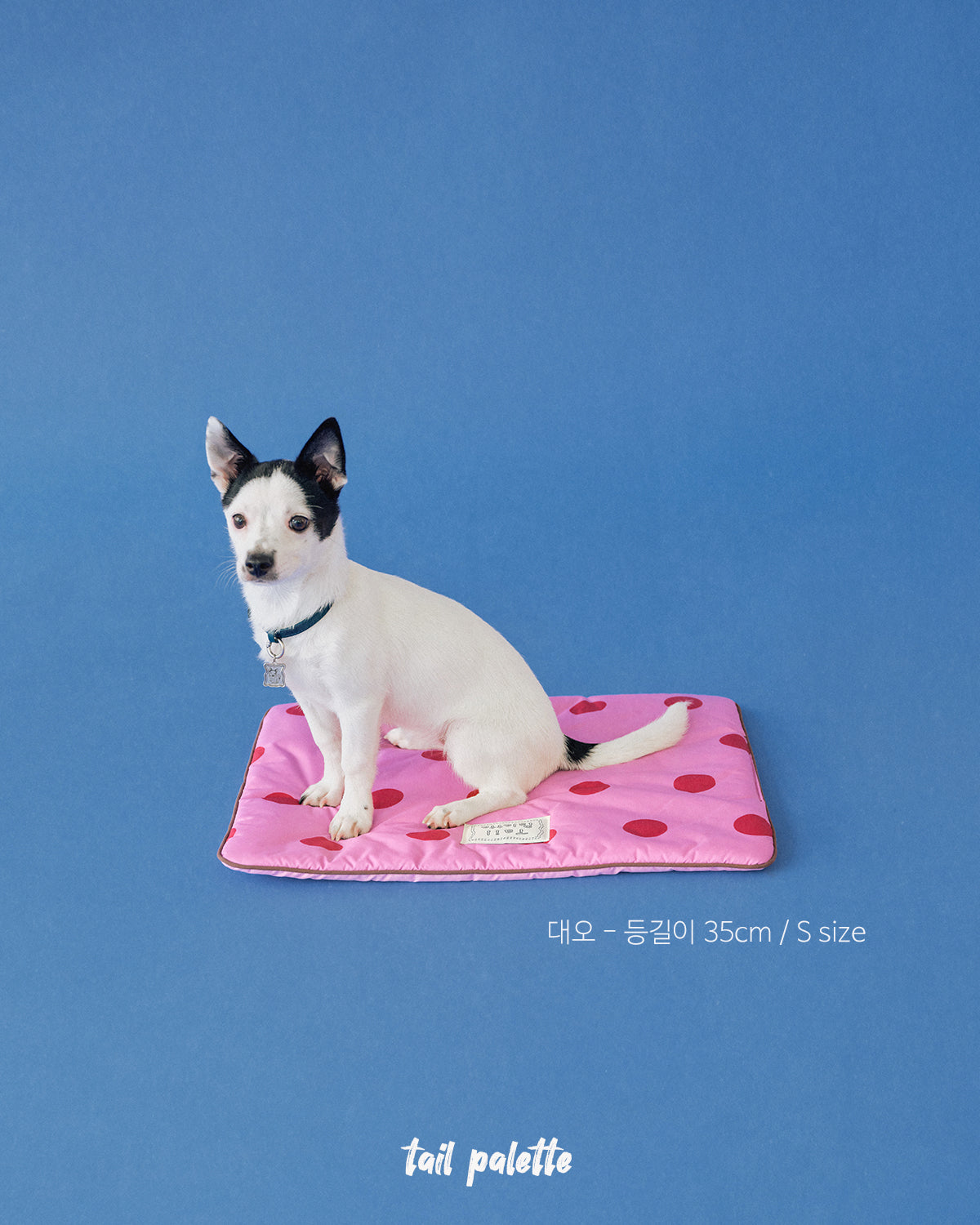TP｜painting mat 5.0 (Dot Pink/Pink)
