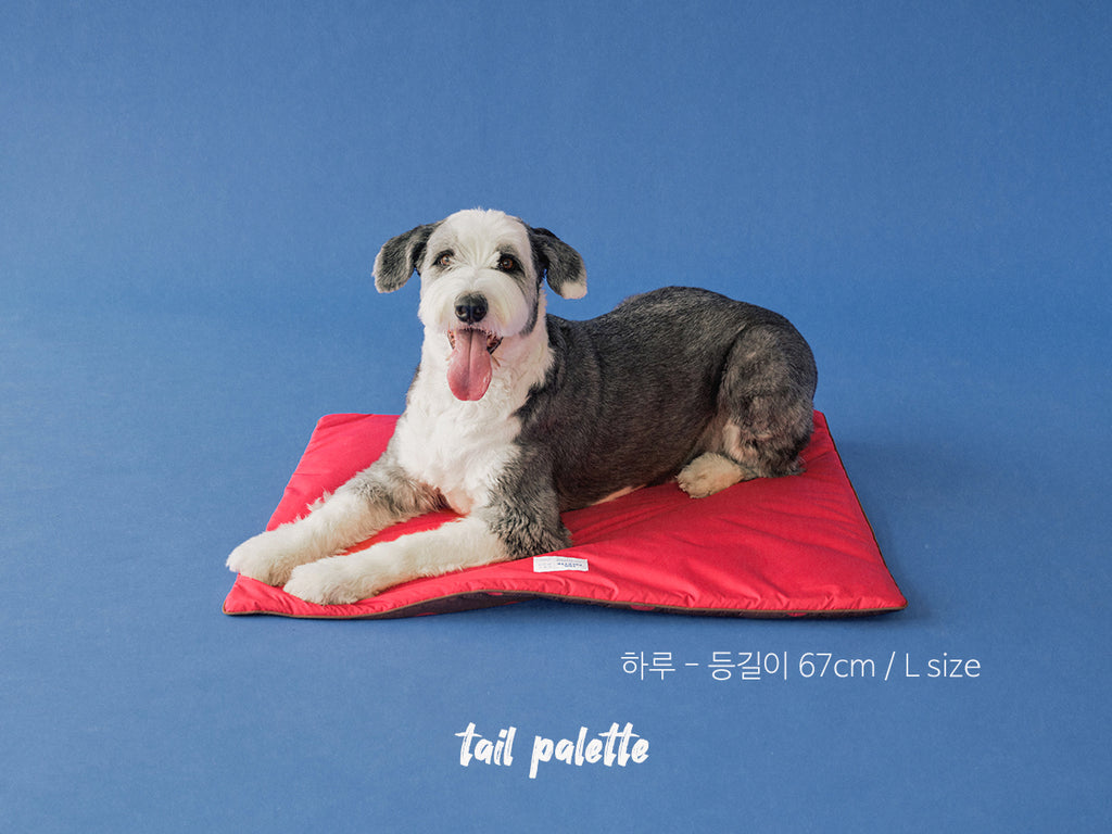 TP｜painting mat 5.0 (Dot Brown/Red)