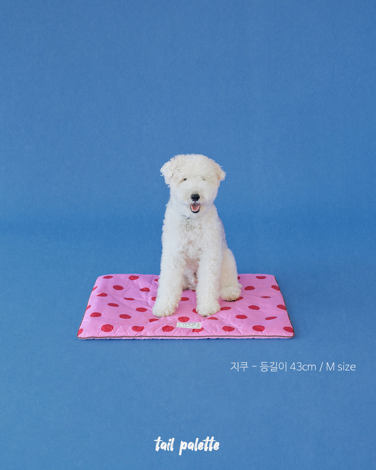 TP｜painting mat 5.0 (Dot Pink/Pink)