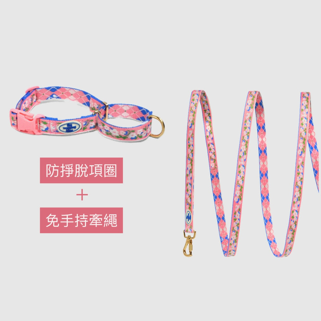 【寵物展組合優惠折百】TWB｜花鹿系列散步組合（防逃脫項圈+牽繩）