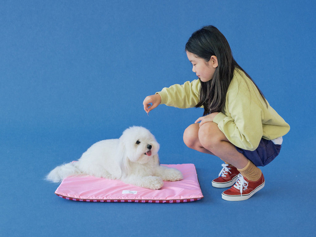 TP｜painting mat 5.0 (Stripe Pink/Pink)