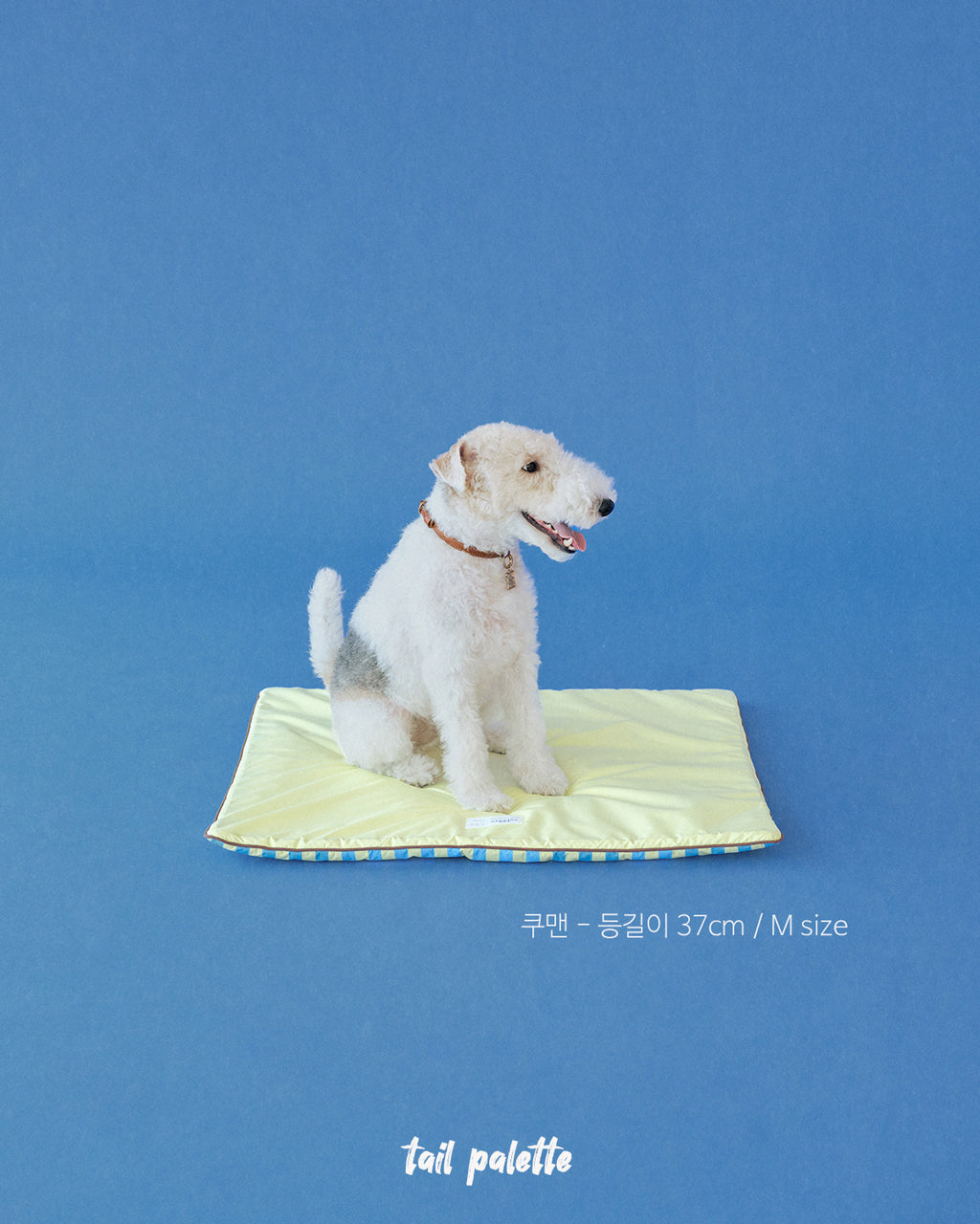 TP｜painting mat 5.0 (Stripe Soda/Lemon)