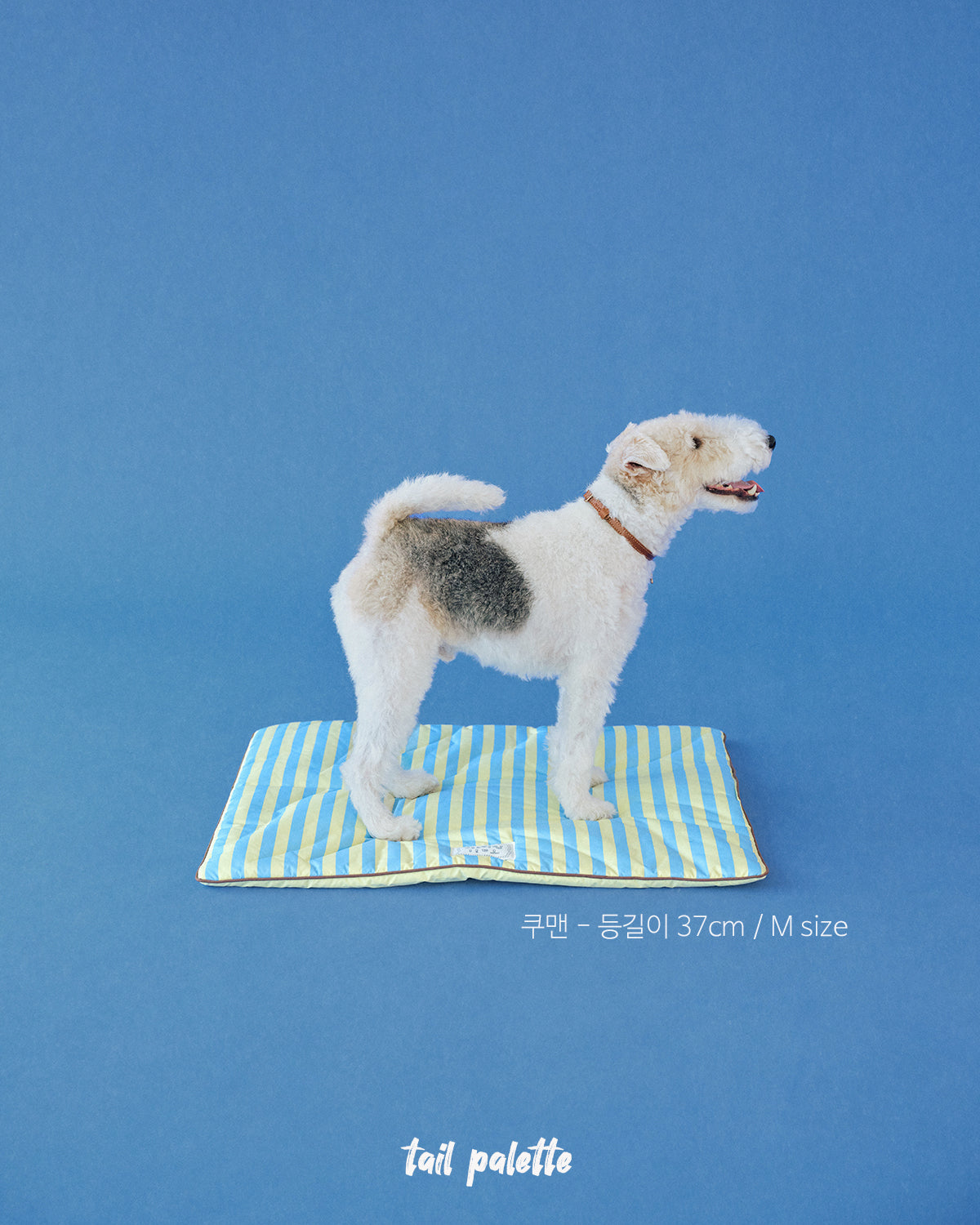 TP｜painting mat 5.0 (Stripe Soda/Lemon)