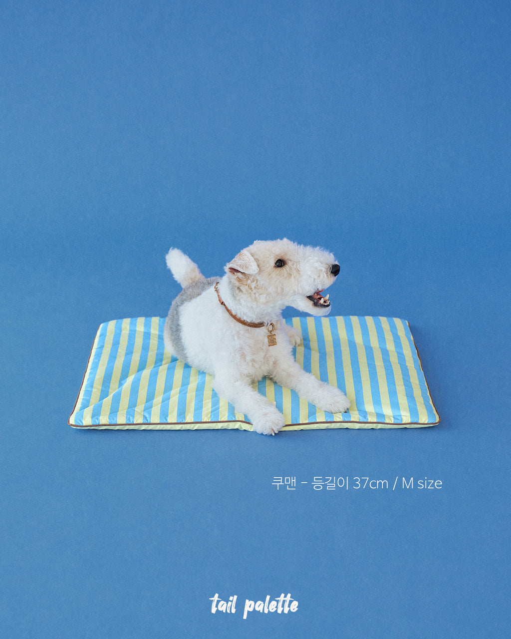 TP｜painting mat 5.0 (Stripe Soda/Lemon)