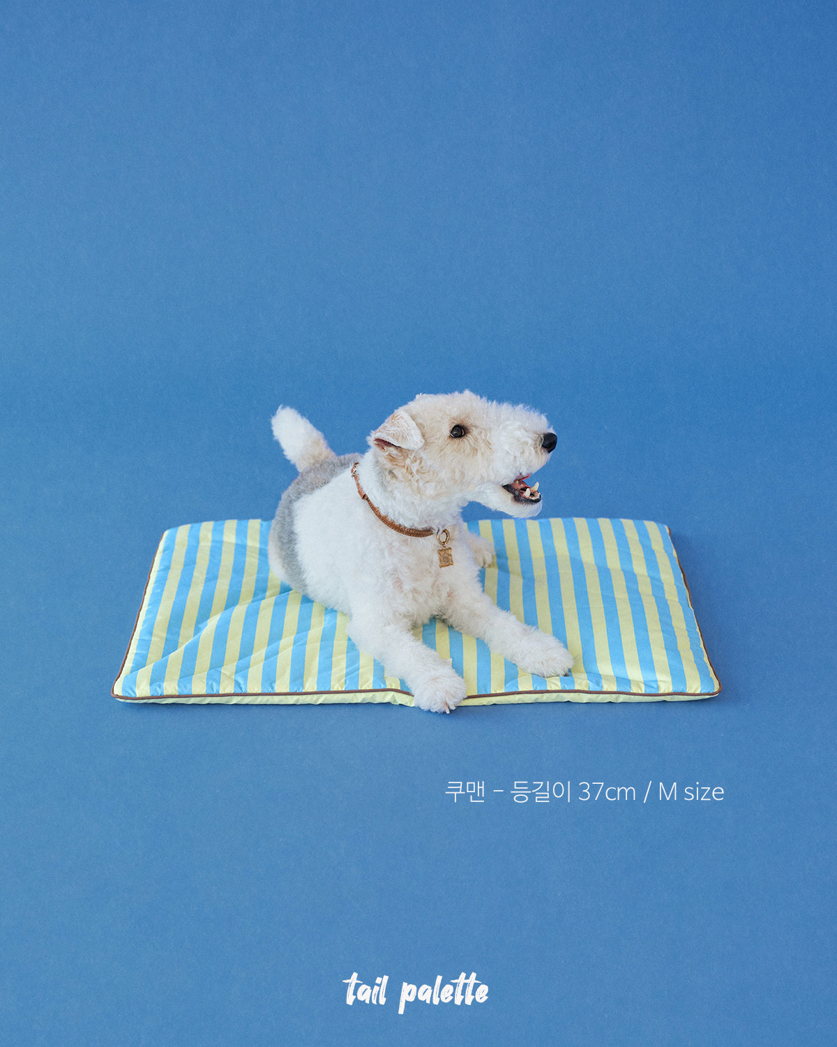 TP｜painting mat 5.0 (Stripe Soda/Lemon)
