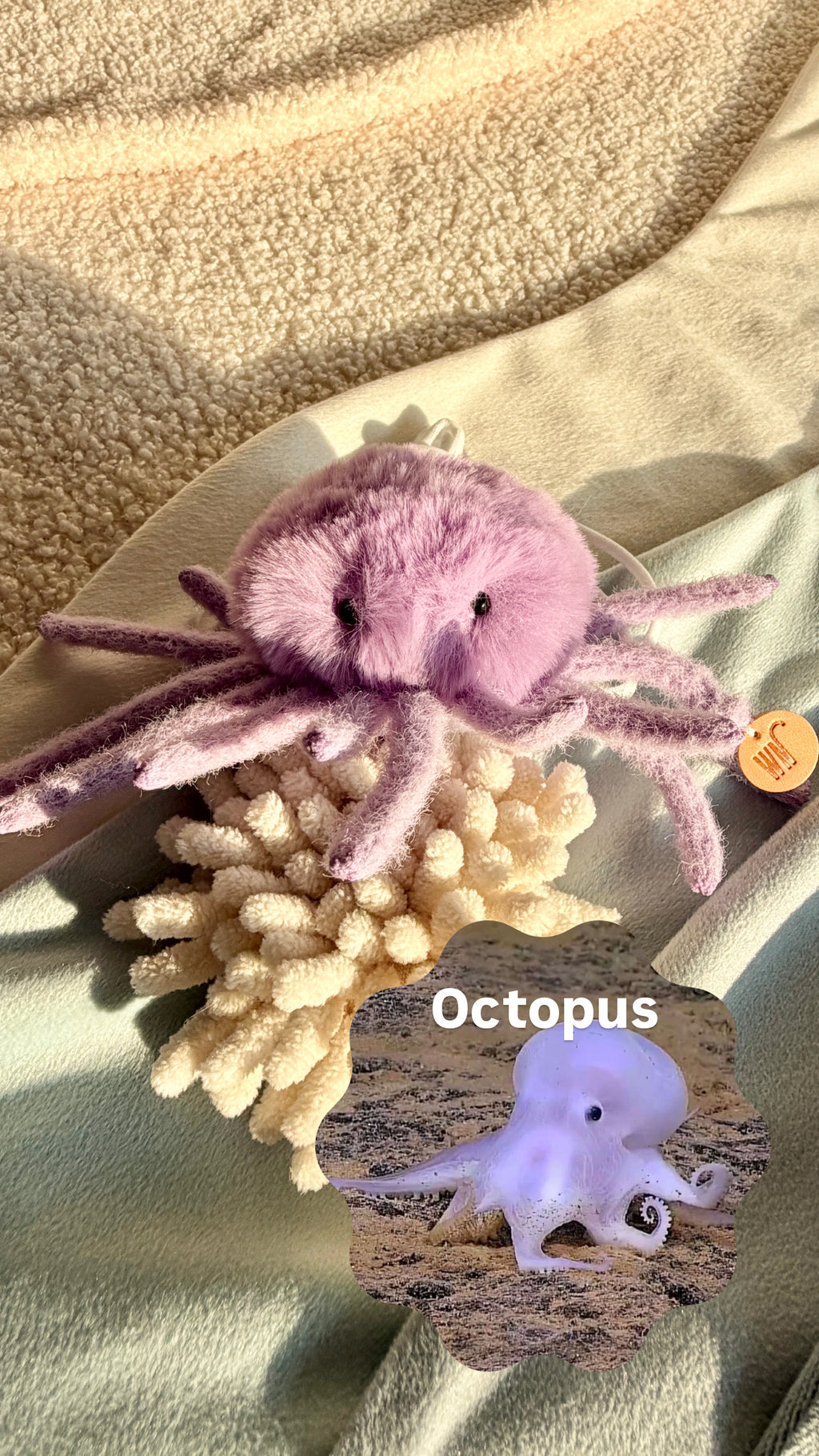 Wetnose｜海洋系列-章魚頭套 octopus headpiece