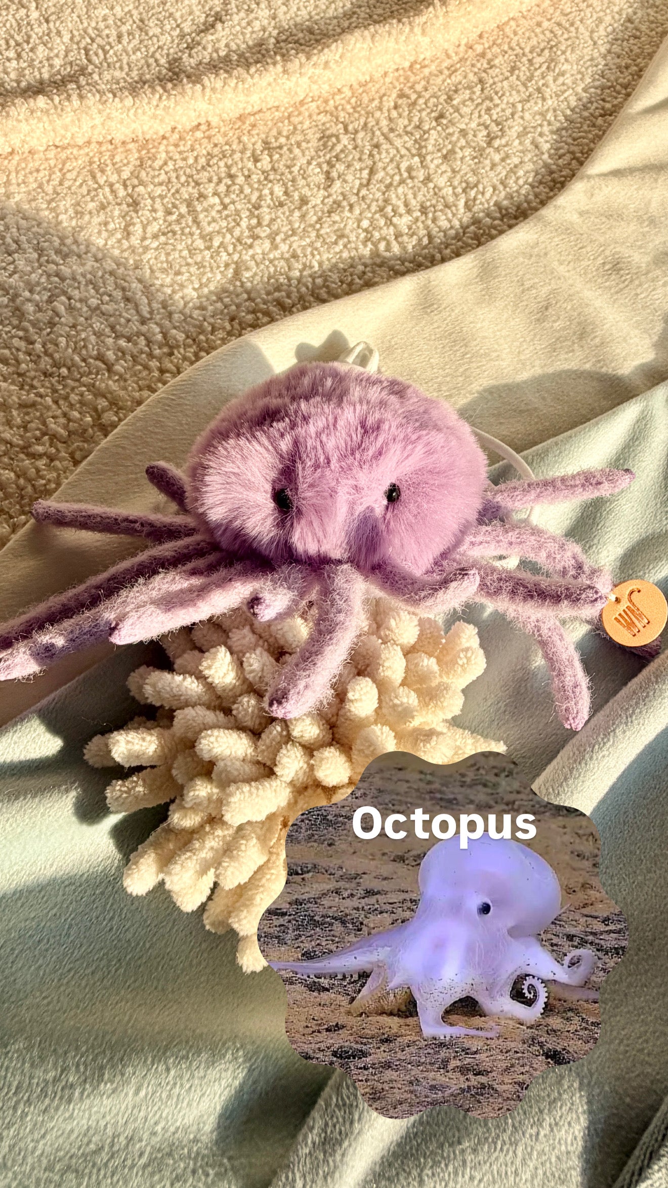 Wetnose｜海洋系列-章魚頭套 octopus headpiece