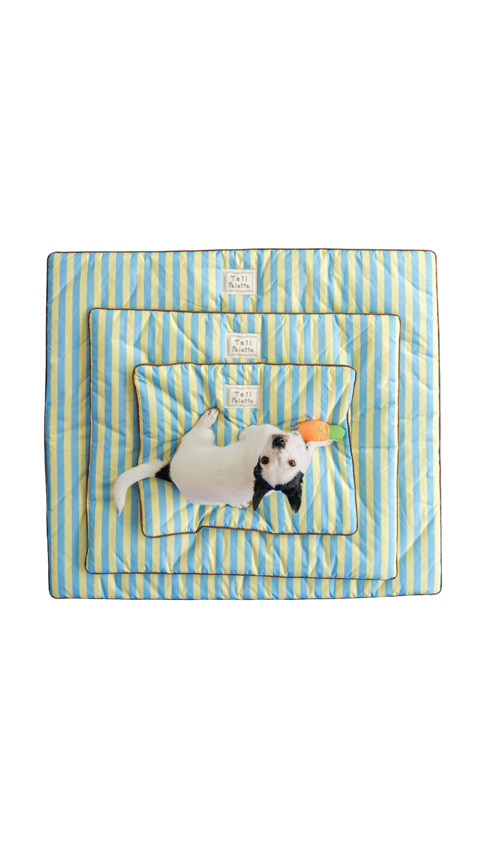 TP｜painting mat 5.0 (Stripe Soda/Lemon)