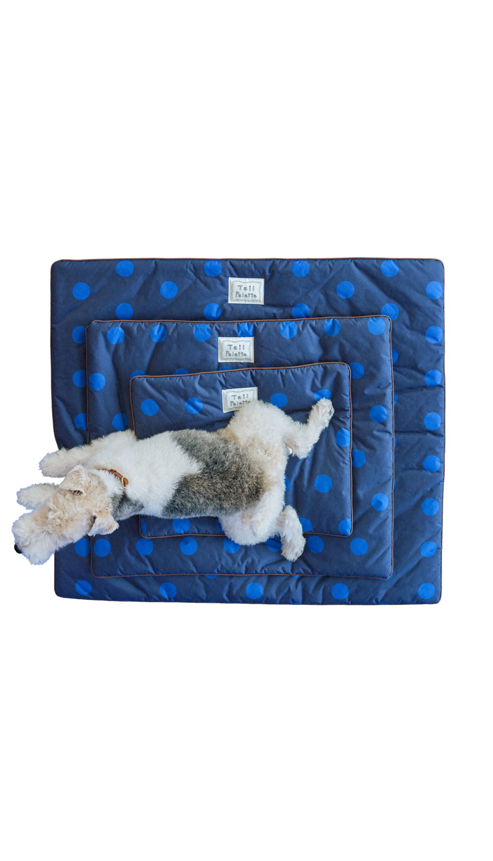 TP｜painting mat 5.0 (Dot Navy/Brown)