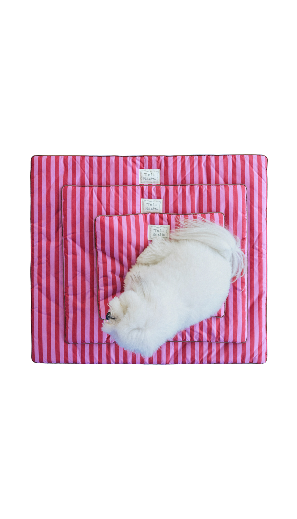 TP｜painting mat 5.0 (Stripe Pink/Pink)