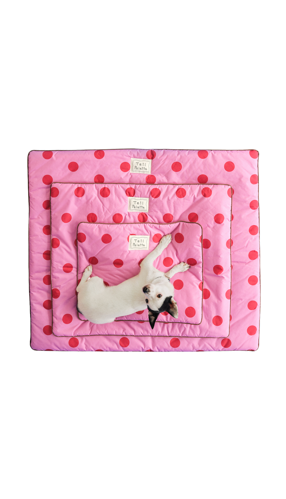 TP｜painting mat 5.0 (Dot Pink/Pink)