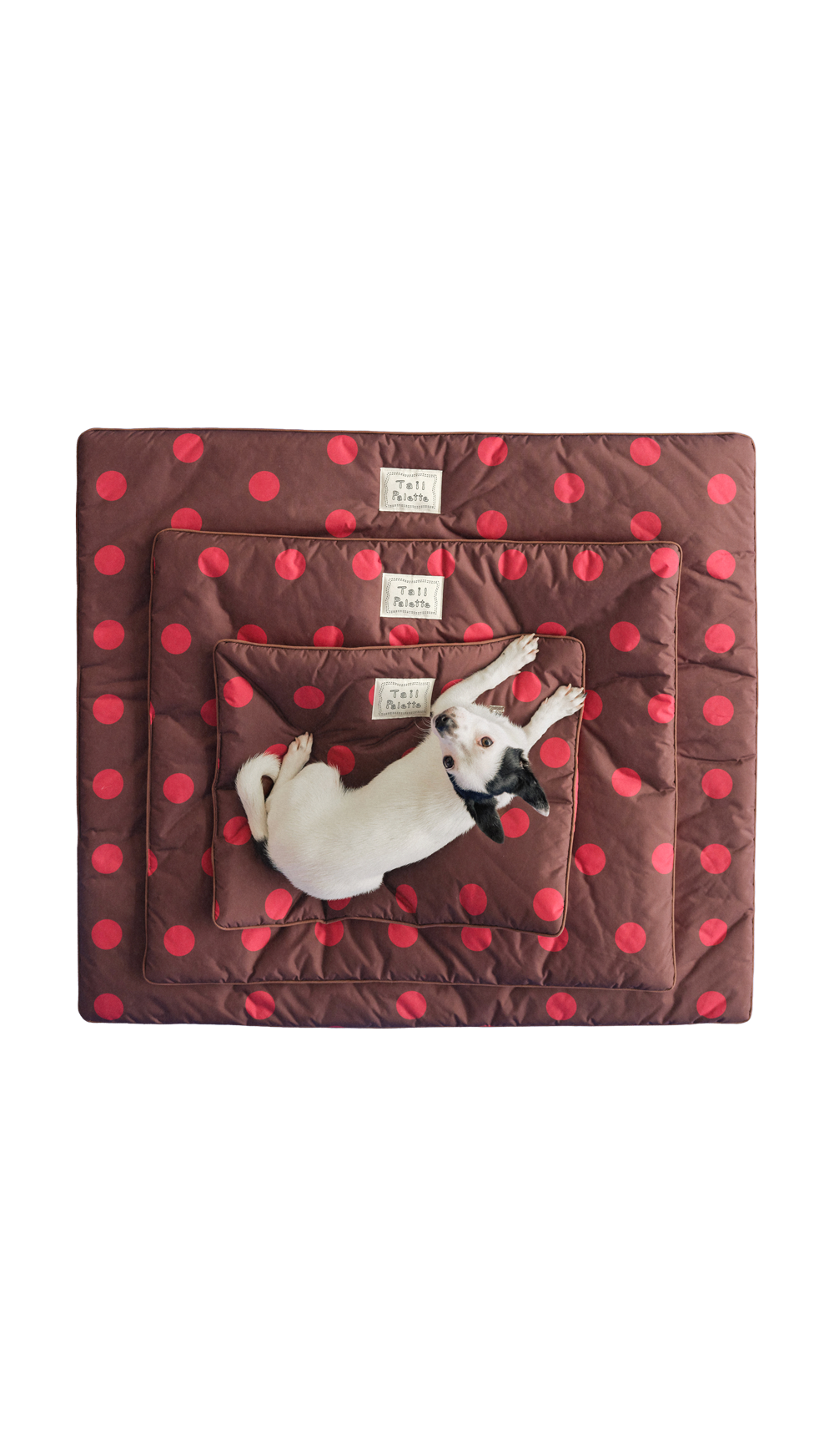 TP｜painting mat 5.0 (Dot Brown/Red)