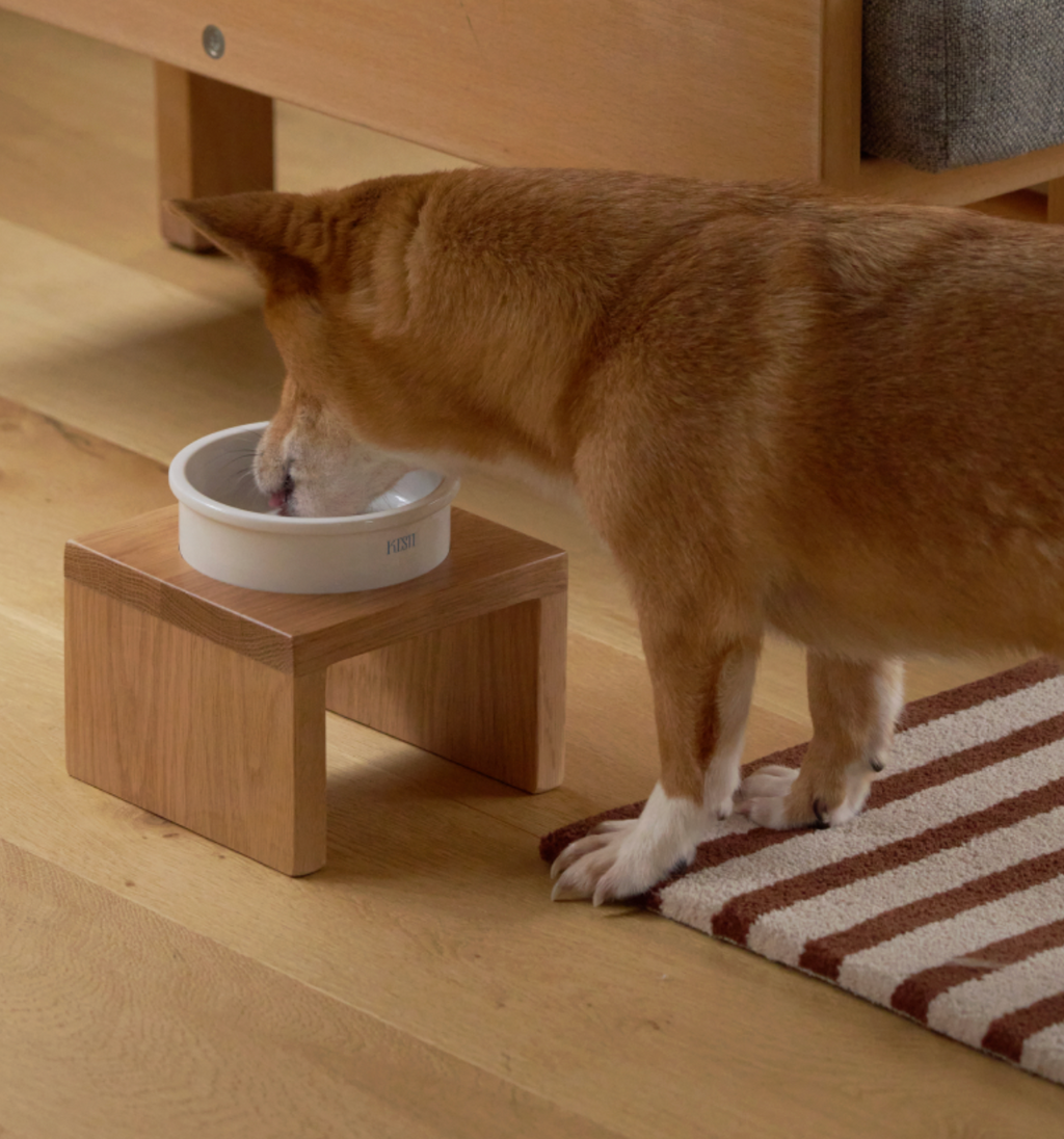 預購｜KESTI Line Bowl