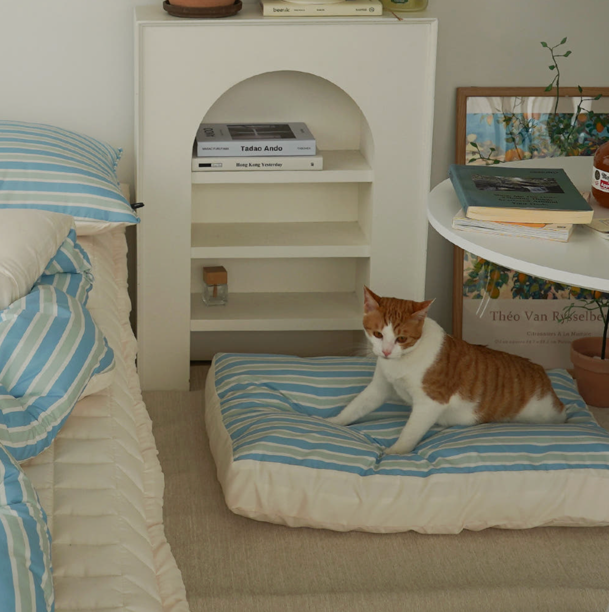 代購｜可拆洗防水貓狗坐墊 - M 尺寸