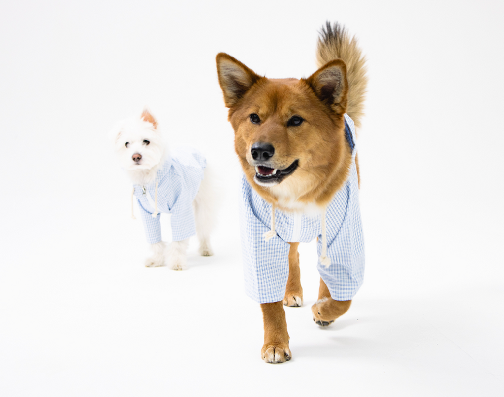 Paaawr｜野餐格紋連帽外套 Picnic Check Jacket_SkyBlue