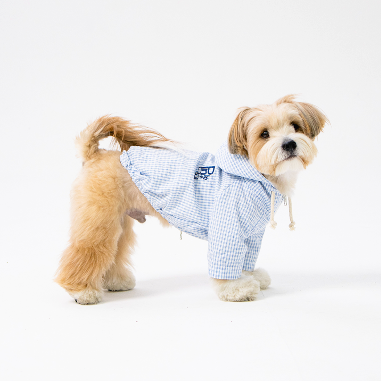 Paaawr｜野餐格紋連帽外套 Picnic Check Jacket_SkyBlue