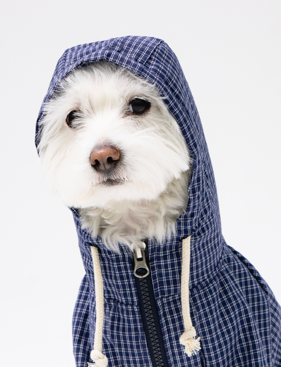 Paaawr｜野餐格紋連帽外套 Picnic Check Jacket_Navy