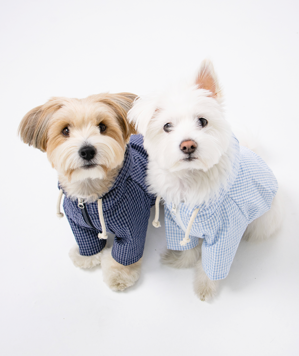 Paaawr｜野餐格紋連帽外套 Picnic Check Jacket_Navy