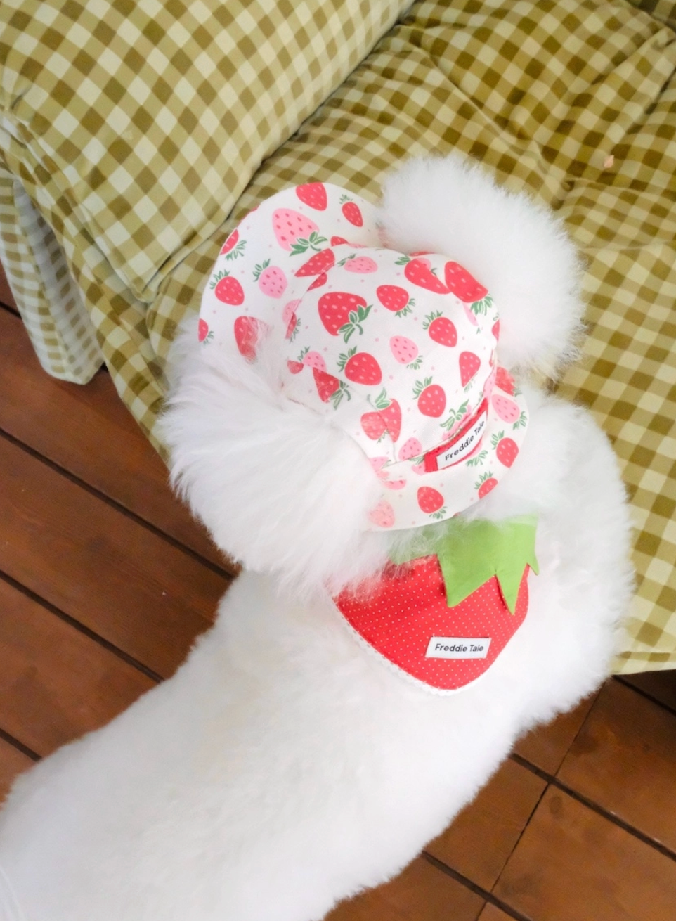 代購｜Very Berry Bandana 莓果領巾