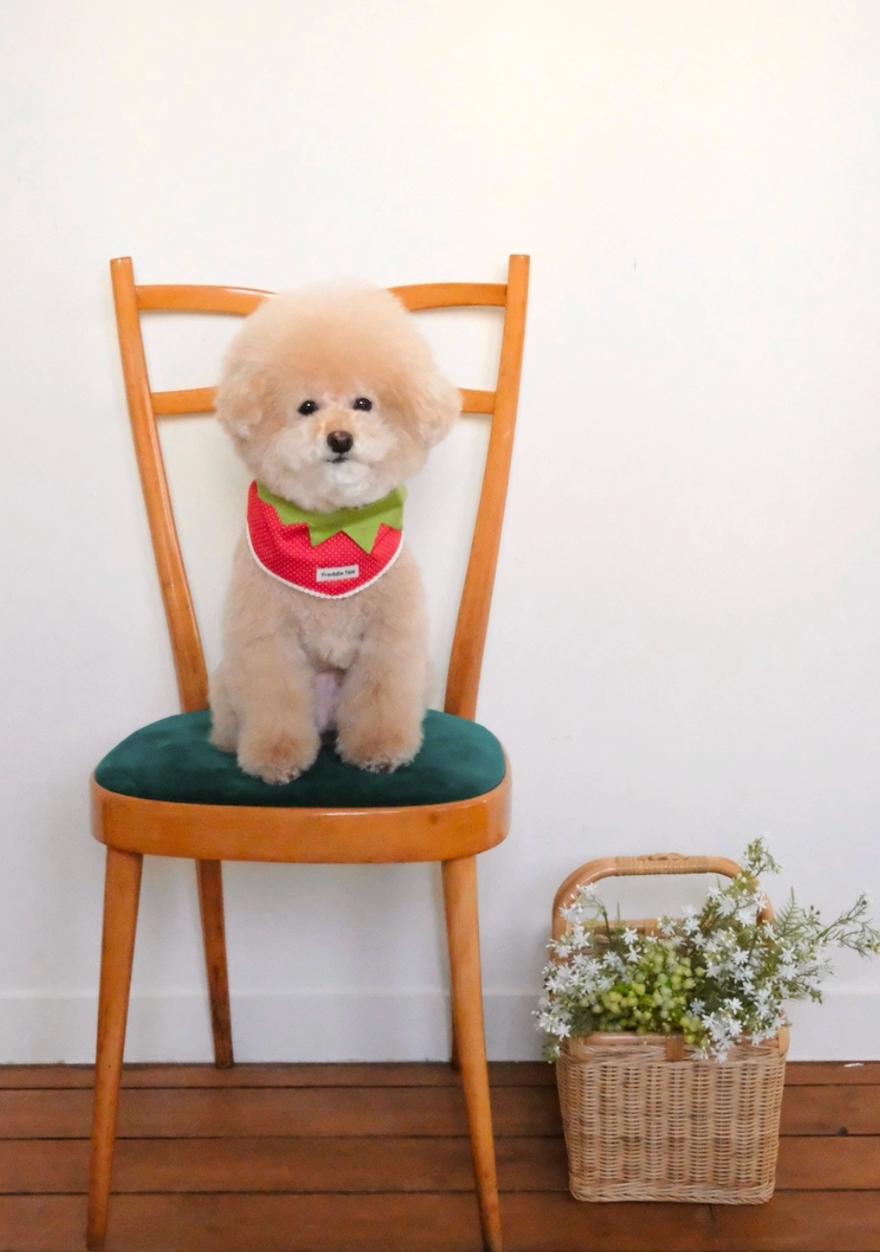 代購｜Very Berry Bandana 莓果領巾