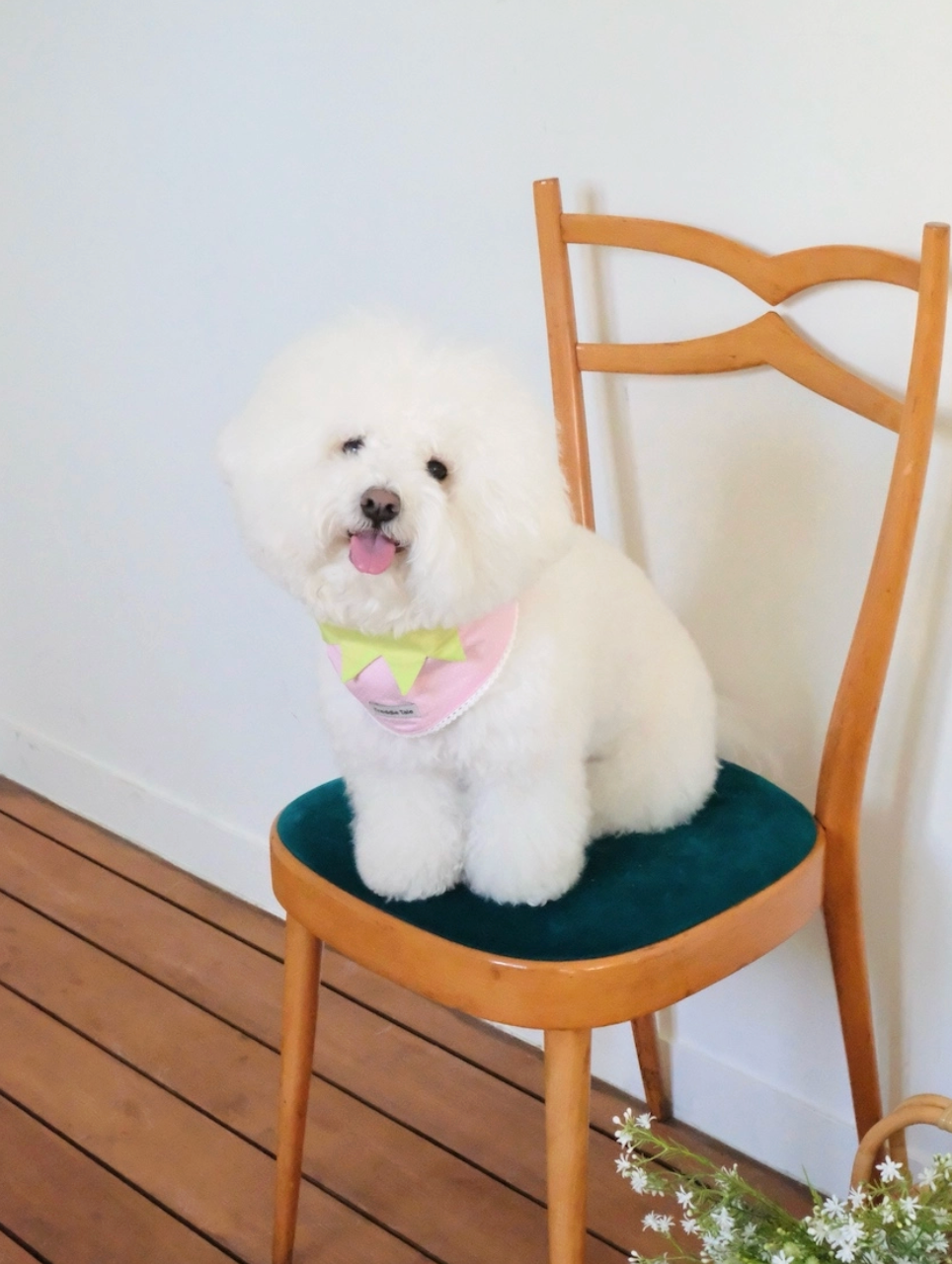 代購｜Very Berry Bandana 莓果領巾