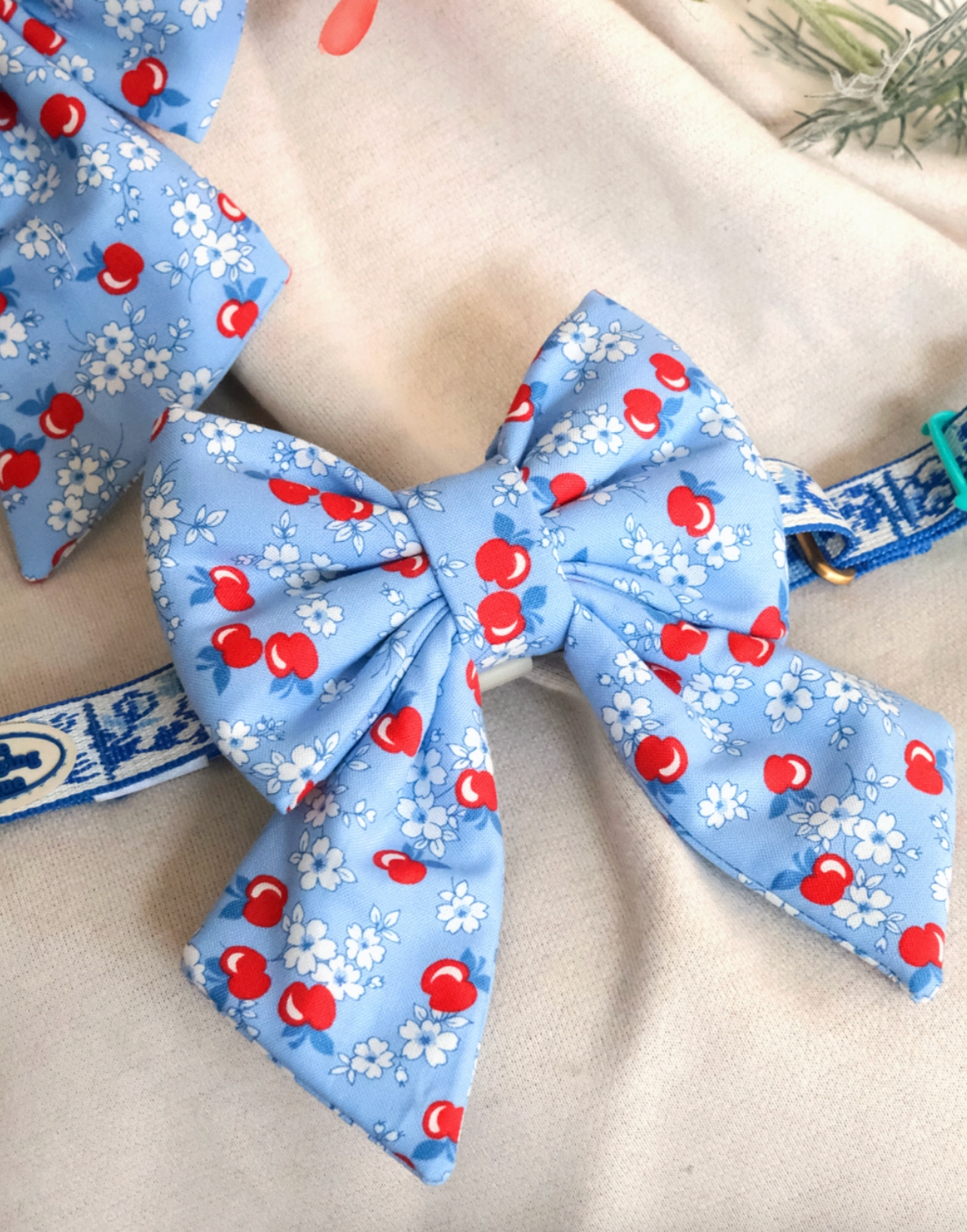 TWB｜Apple Ribbon｜蘋果蝴蝶結