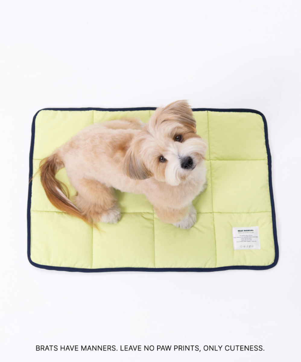 ALLDAYBRAT｜ FLIP MAT 防潑水外出墊子（Lime / Navy）