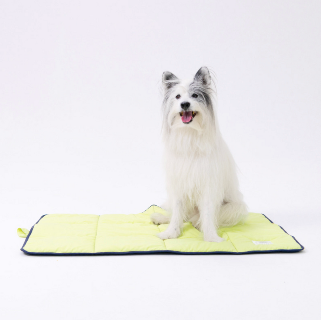 ALLDAYBRAT｜ FLIP MAT 防潑水外出墊子（Lime / Navy）