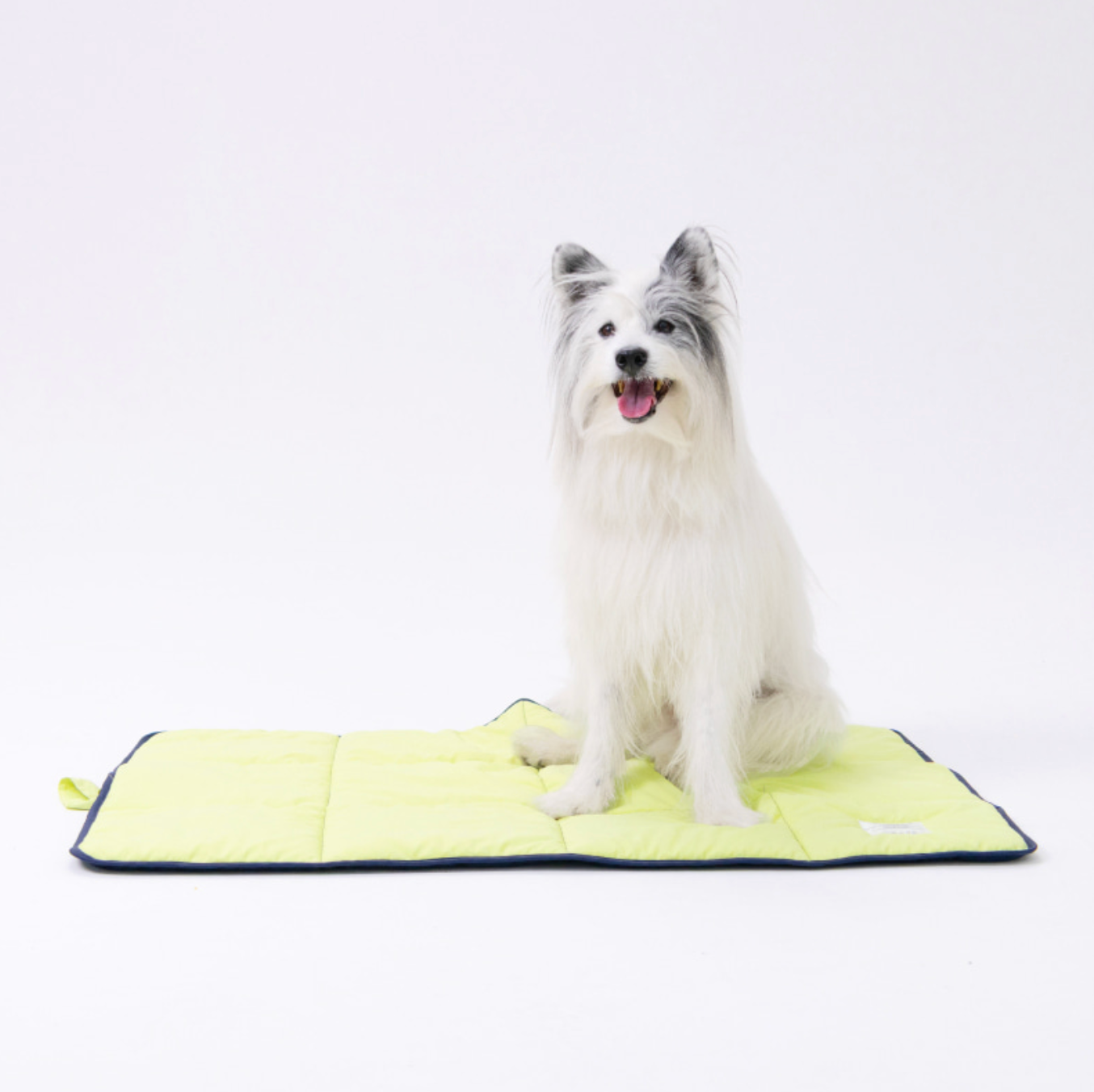 ALLDAYBRAT｜ FLIP MAT 防潑水外出墊子（Lime / Navy）