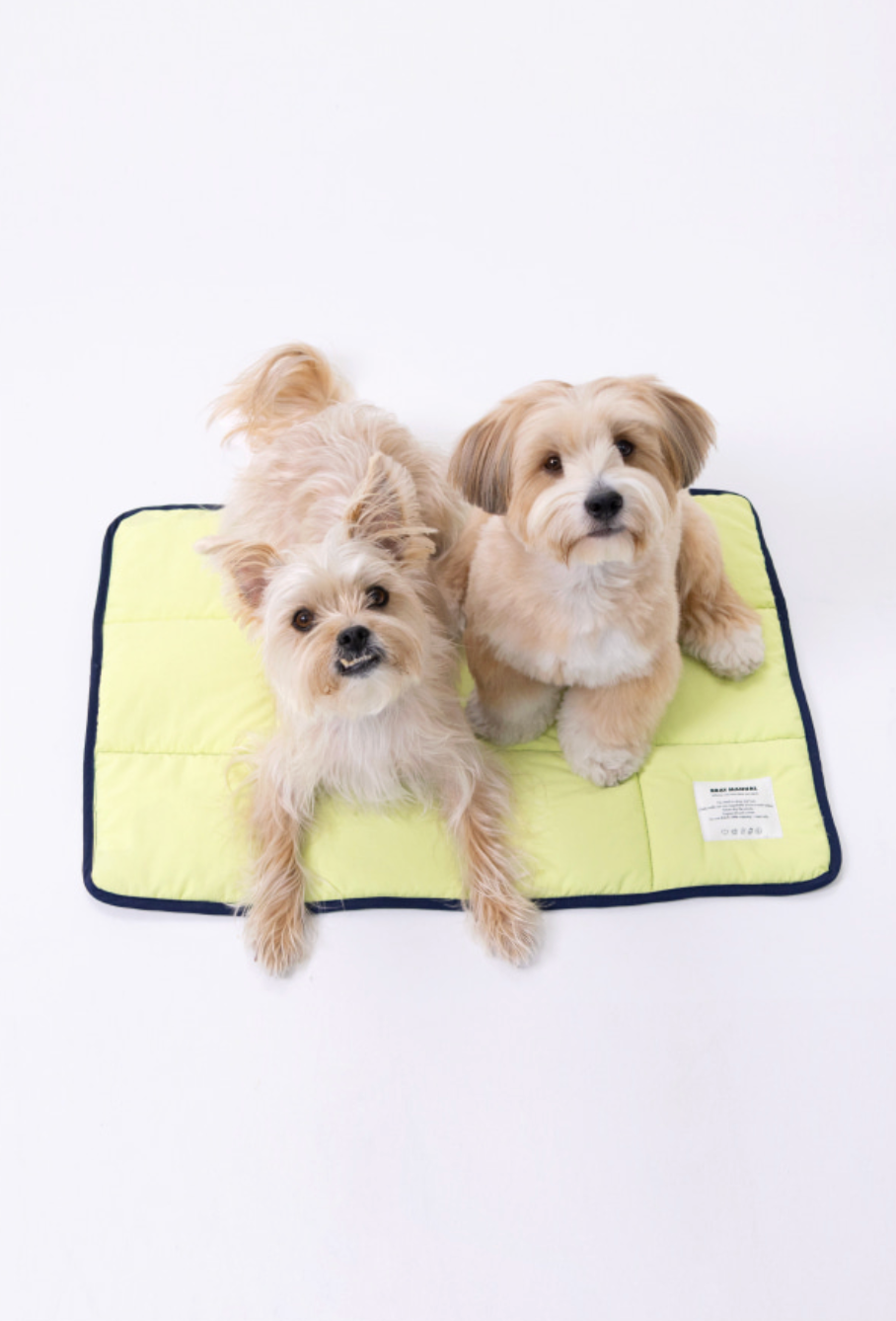 ALLDAYBRAT｜ FLIP MAT 防潑水外出墊子（Lime / Navy）