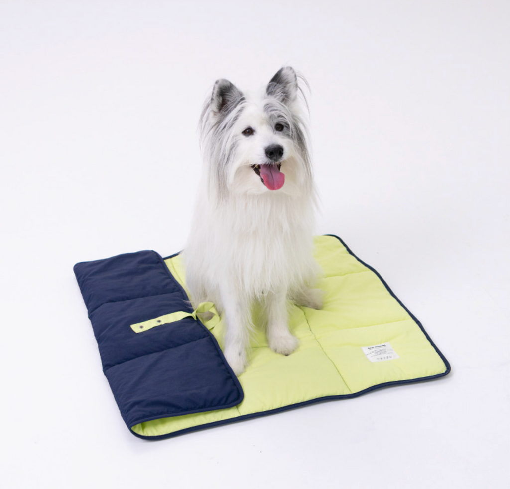 ALLDAYBRAT｜ FLIP MAT 防潑水外出墊子（Lime / Navy）
