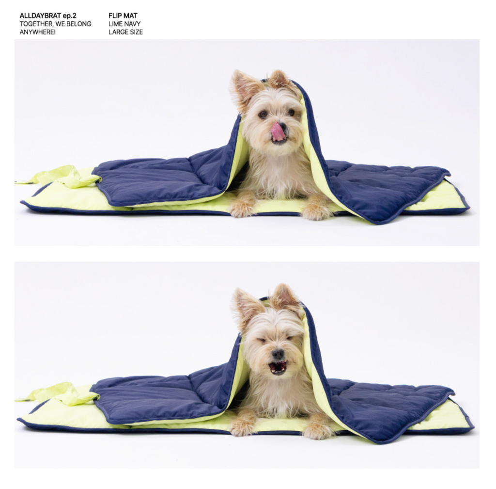 ALLDAYBRAT｜ FLIP MAT 防潑水外出墊子（Lime / Navy）