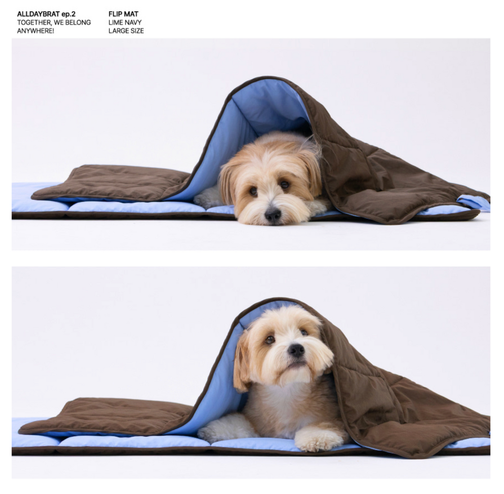 ALLDAYBRAT ｜ FLIP MAT 防潑水外出墊子（Blue / Brown）