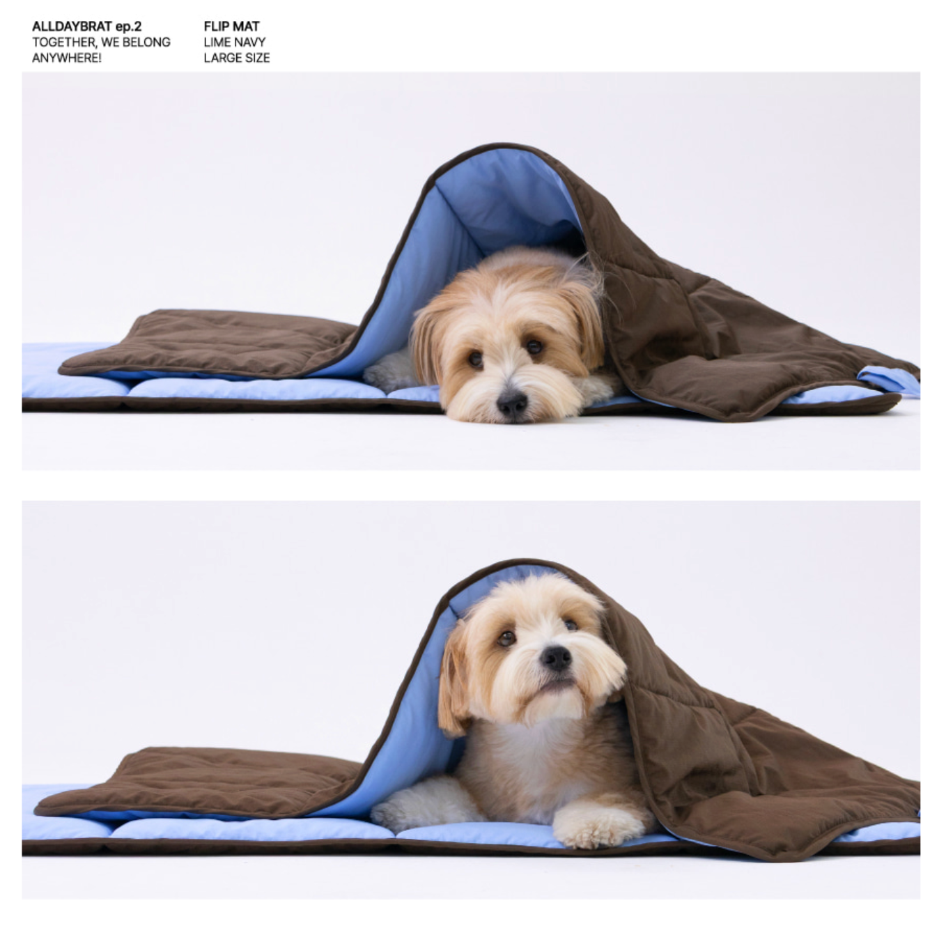ALLDAYBRAT ｜ FLIP MAT 防潑水外出墊子（Blue / Brown）