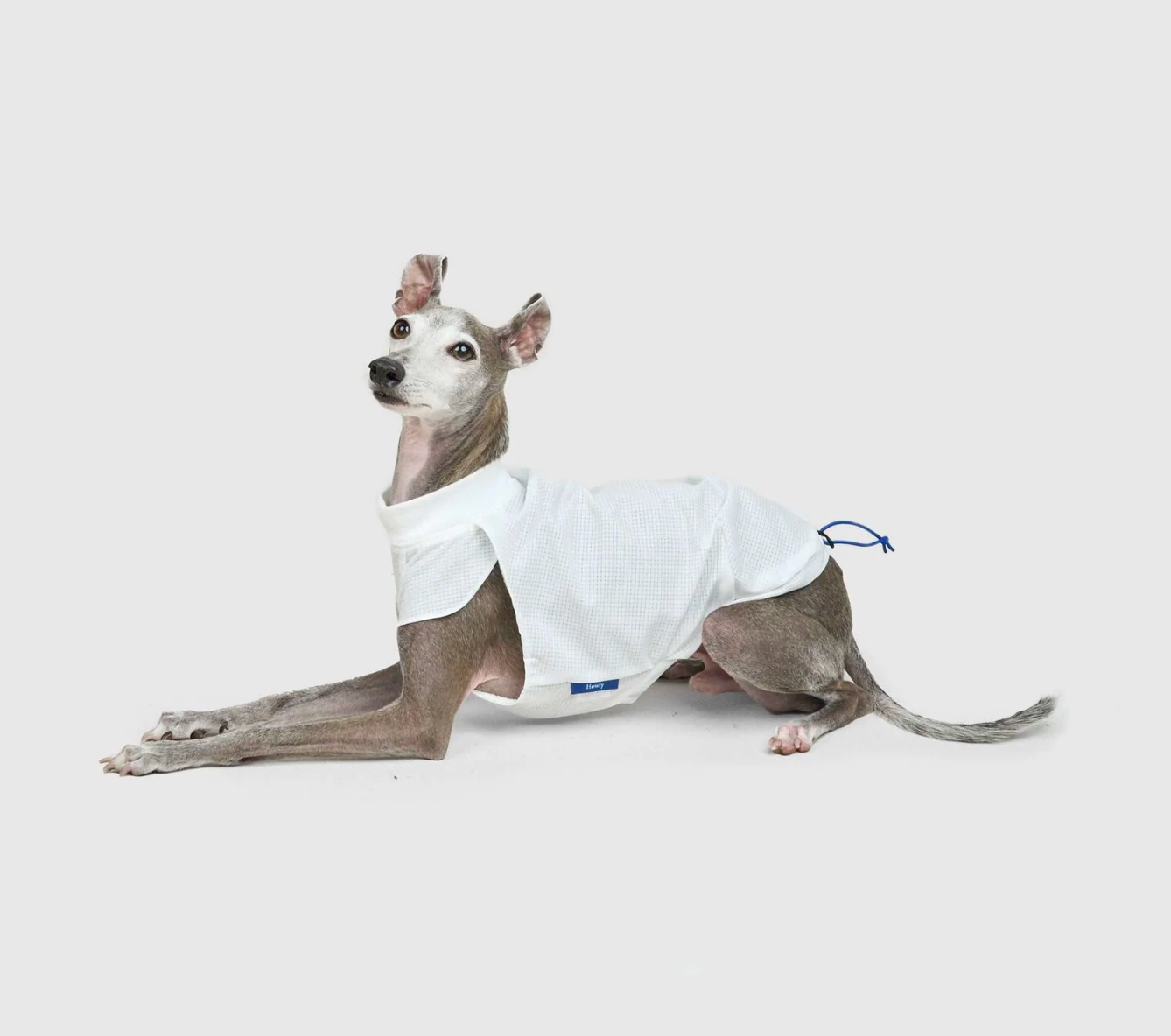代購｜Howly COOL SPLIT T-SHIRTS