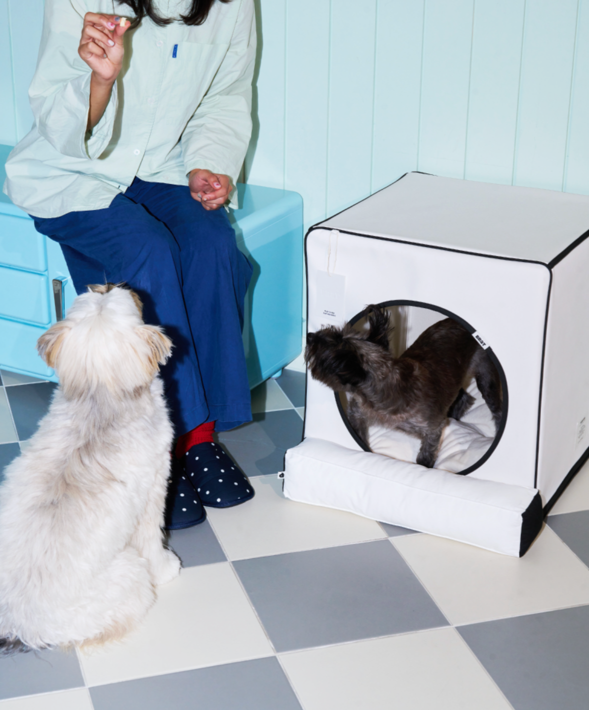 ALLDAYBRAT ｜ ADB HOUSE 狗狗屋（white）