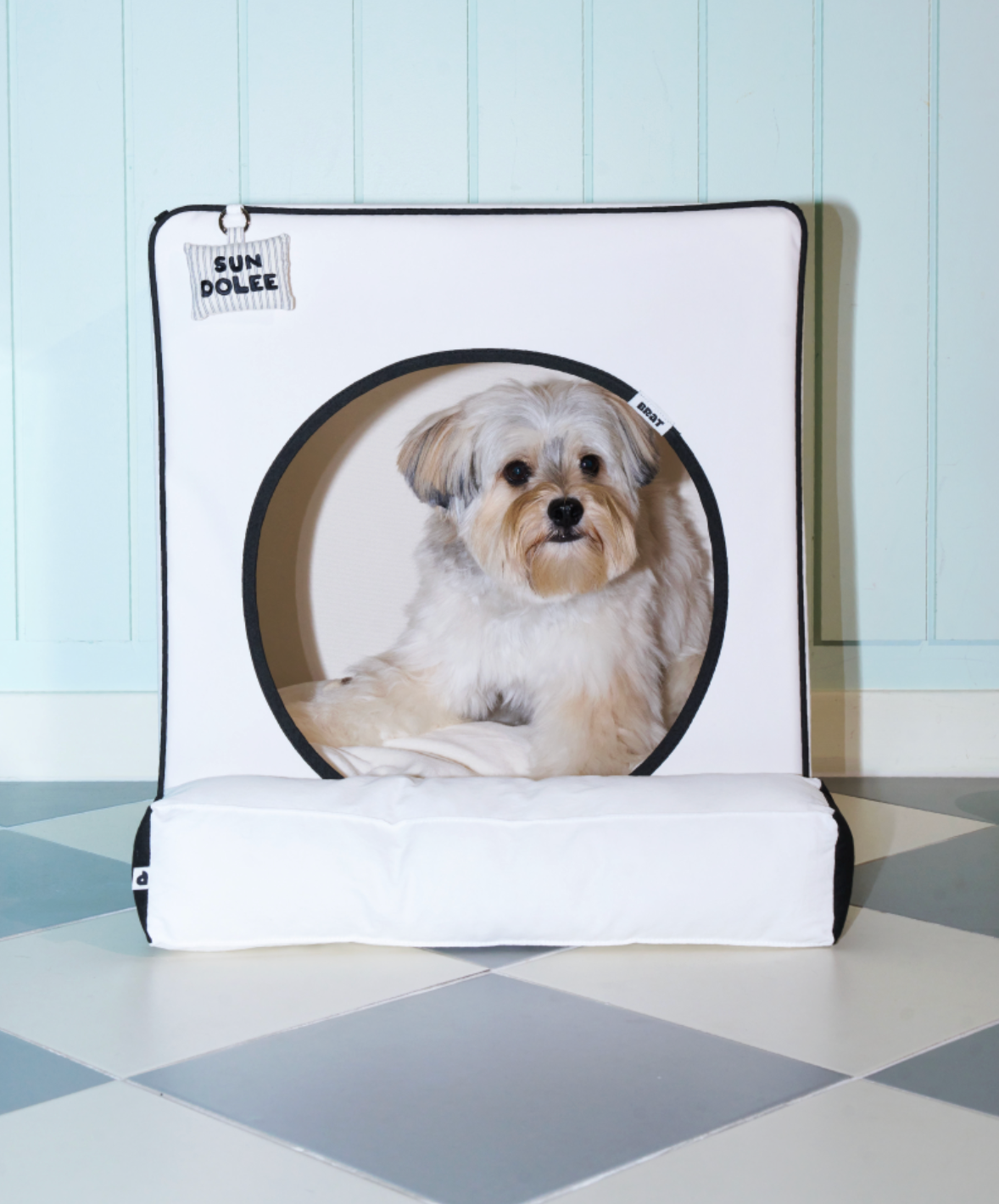 ALLDAYBRAT ｜ ADB HOUSE 狗狗屋（white）
