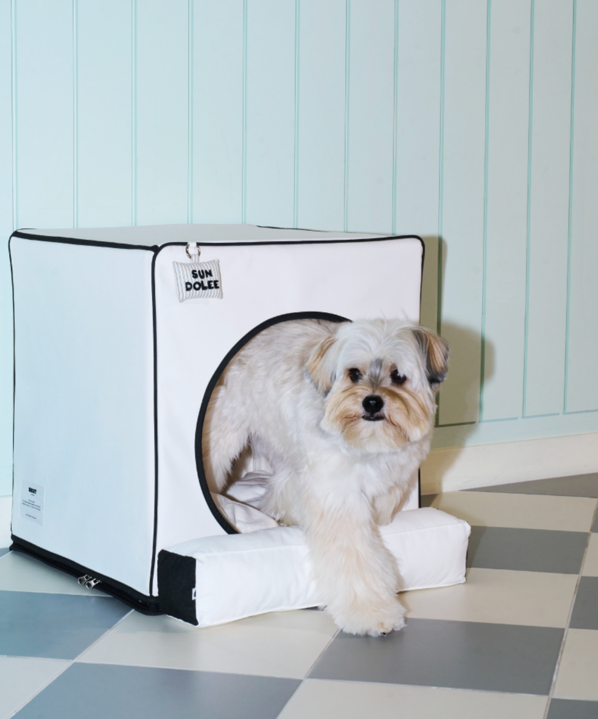 ALLDAYBRAT ｜ ADB HOUSE 狗狗屋（white）