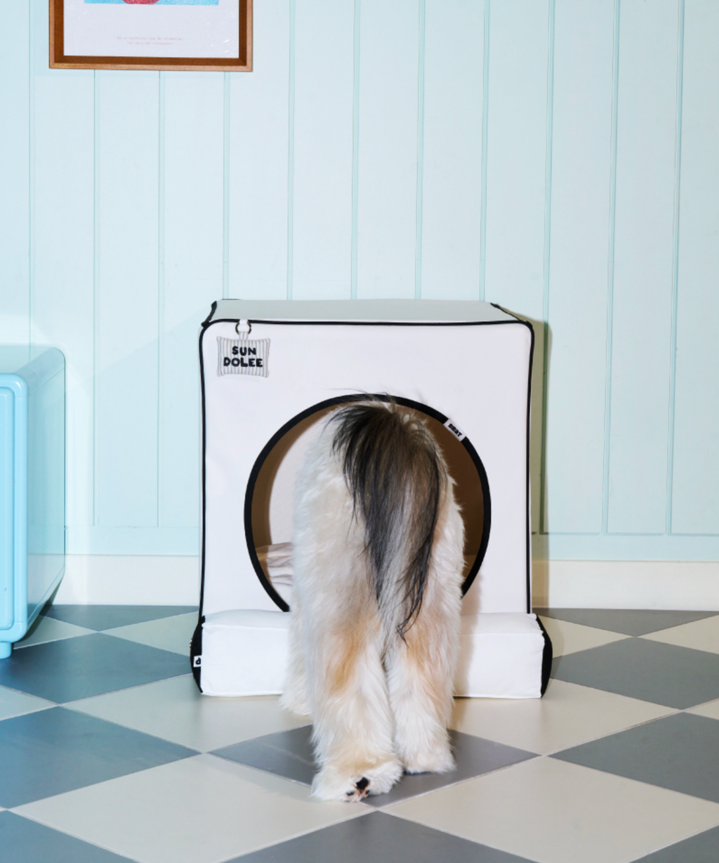 ALLDAYBRAT ｜ ADB HOUSE 狗狗屋（white）