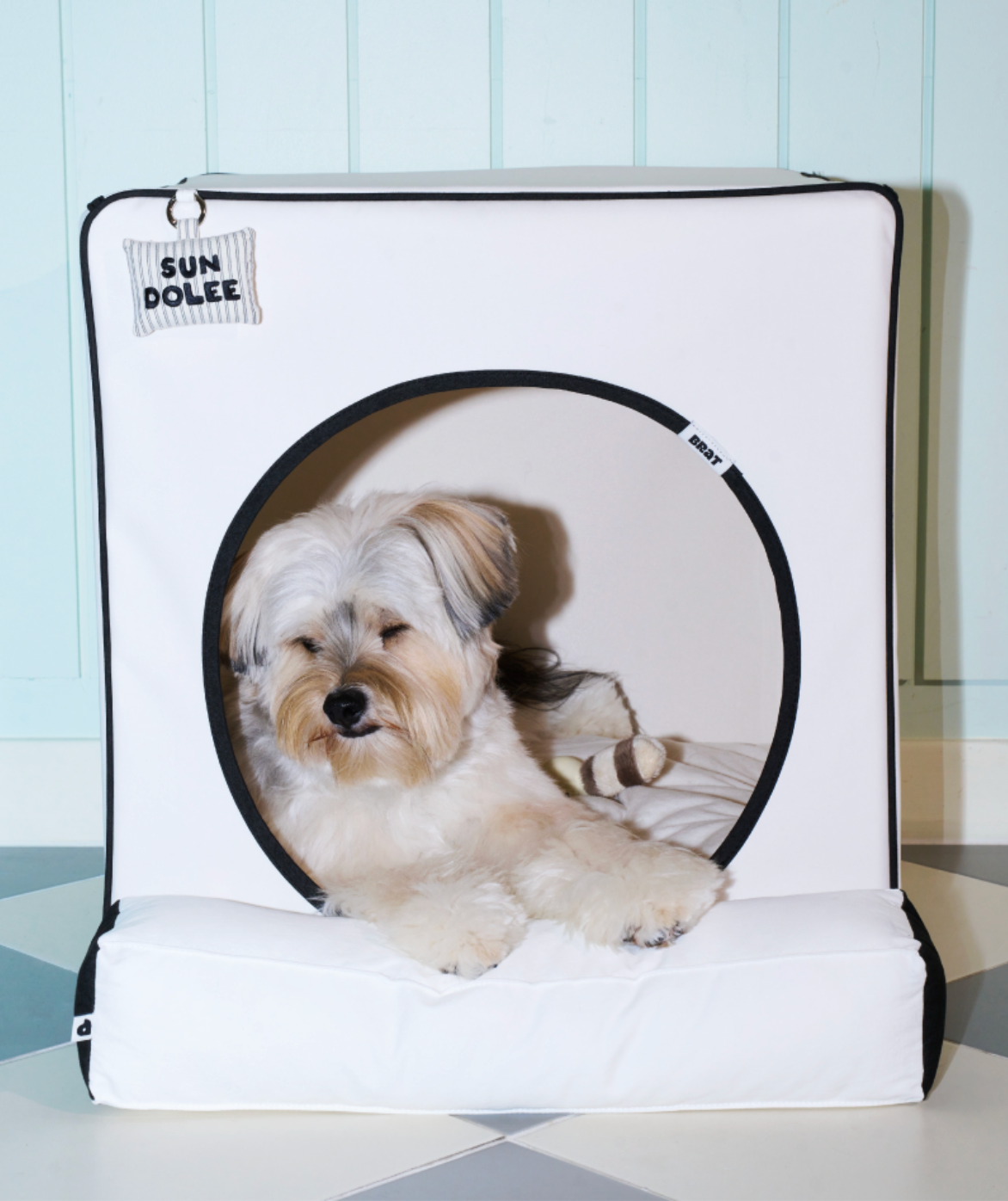 ALLDAYBRAT ｜ ADB HOUSE 狗狗屋（white）