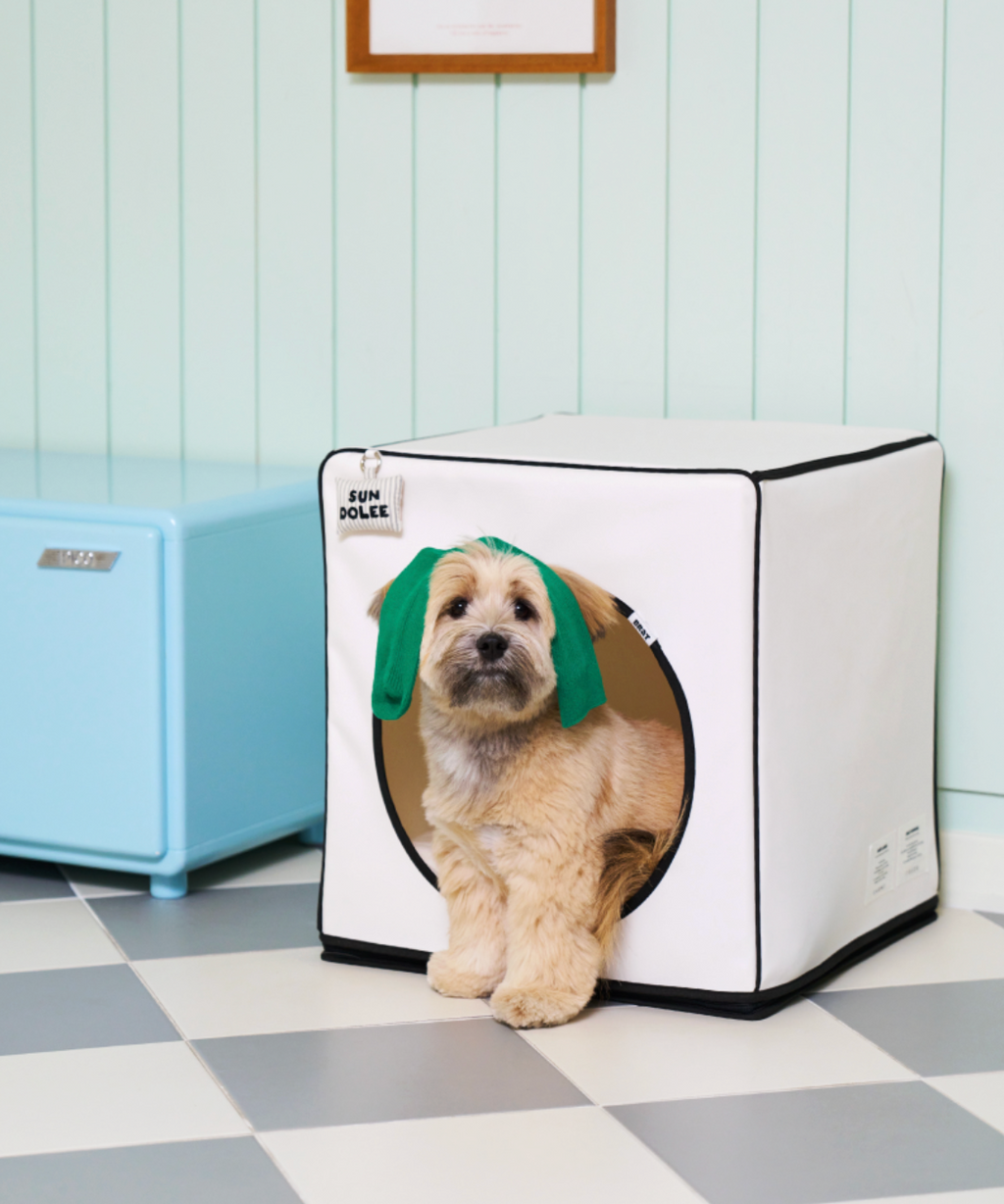 ALLDAYBRAT ｜ ADB HOUSE 狗狗屋（white）