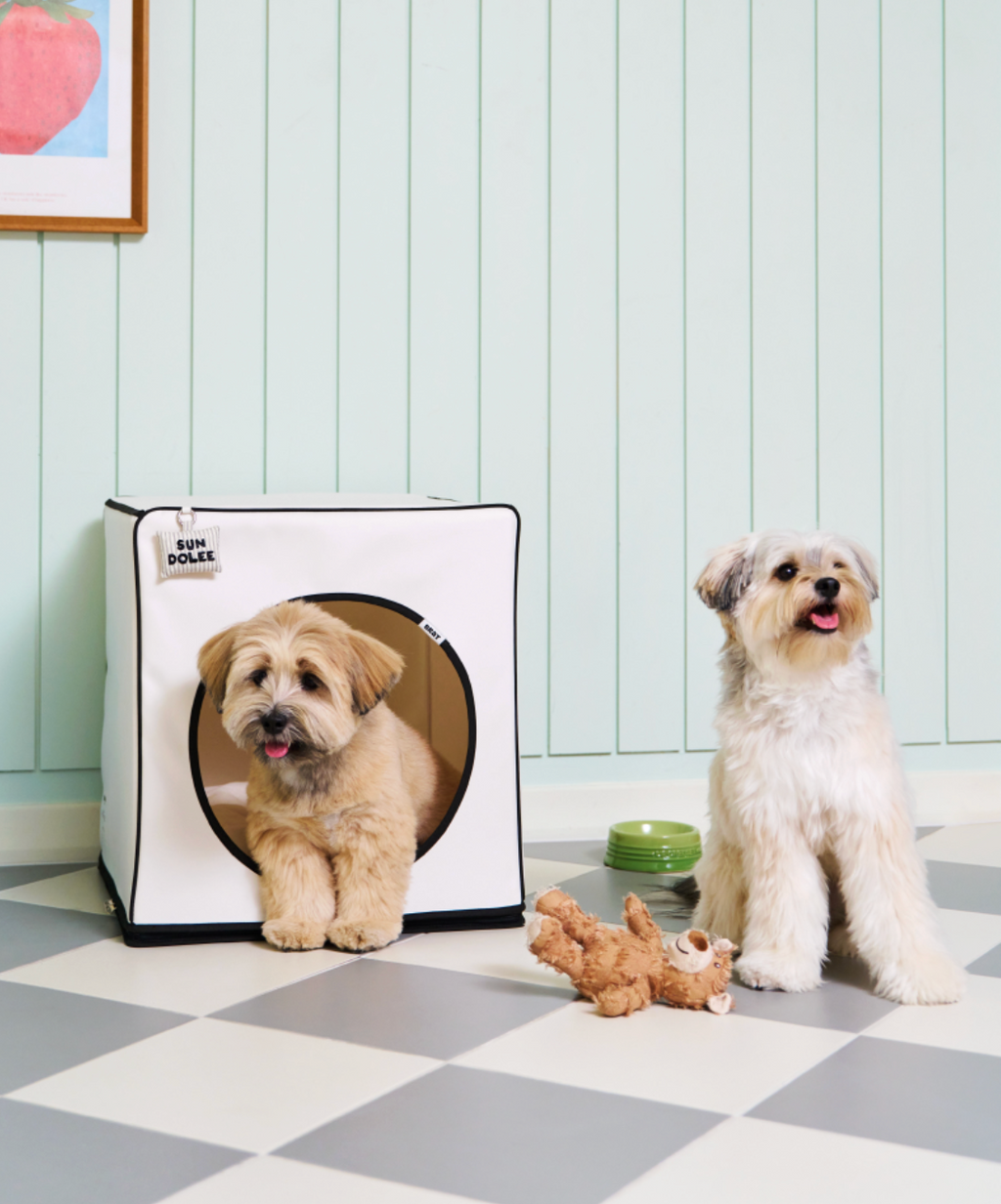 ALLDAYBRAT ｜ ADB HOUSE 狗狗屋（white）